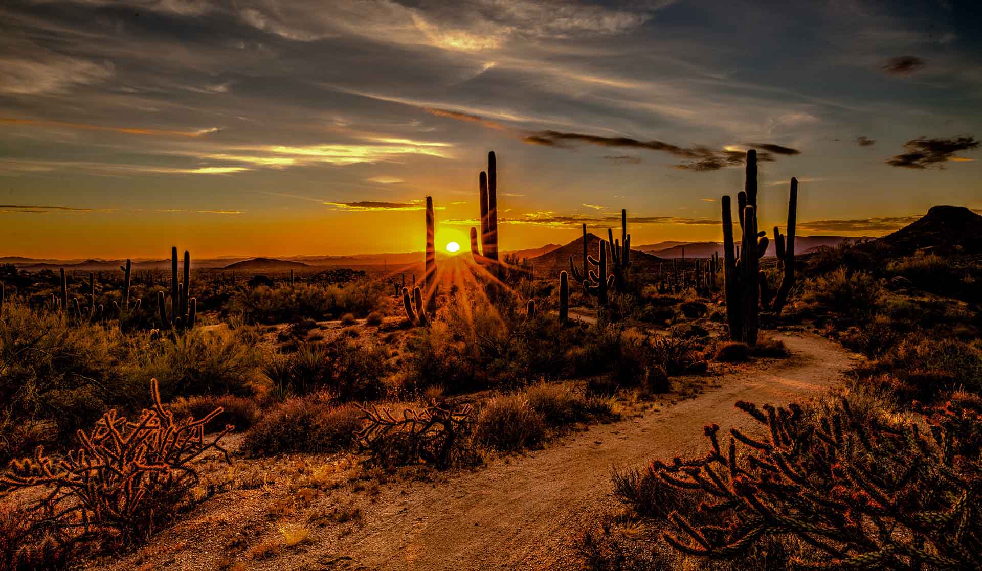 brown and green grass arizona Scottsdale, United States