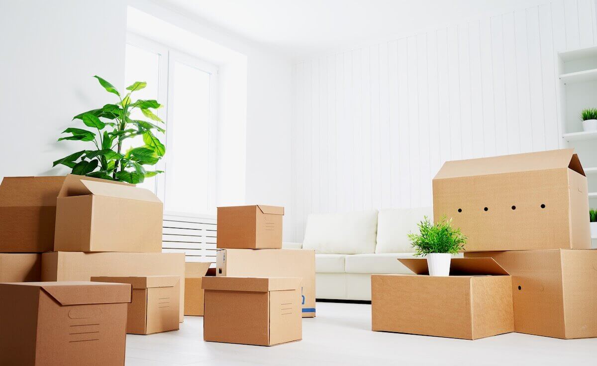 A living room full of boxes prepared for shipping overseas