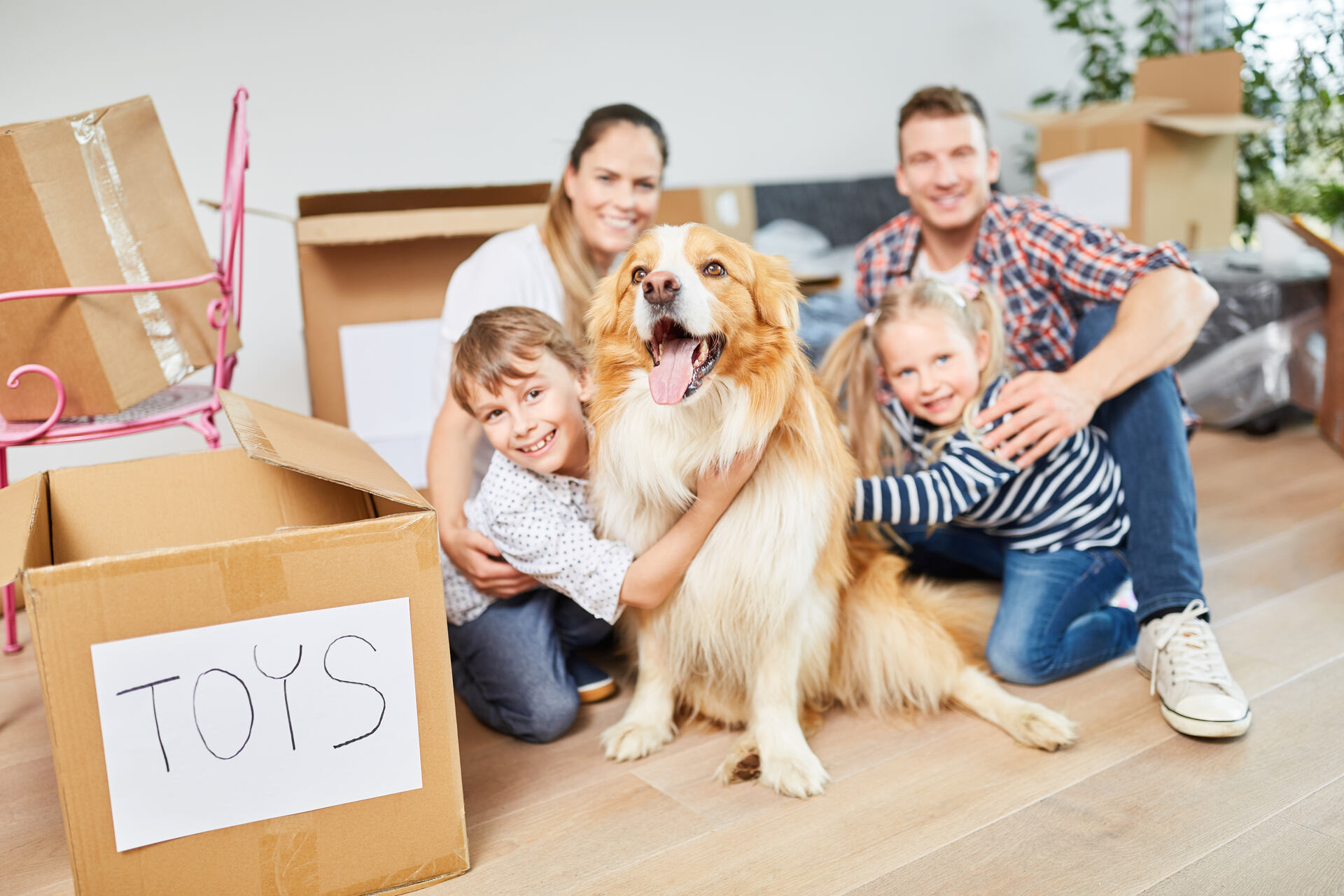 Family and their dog ready for the move