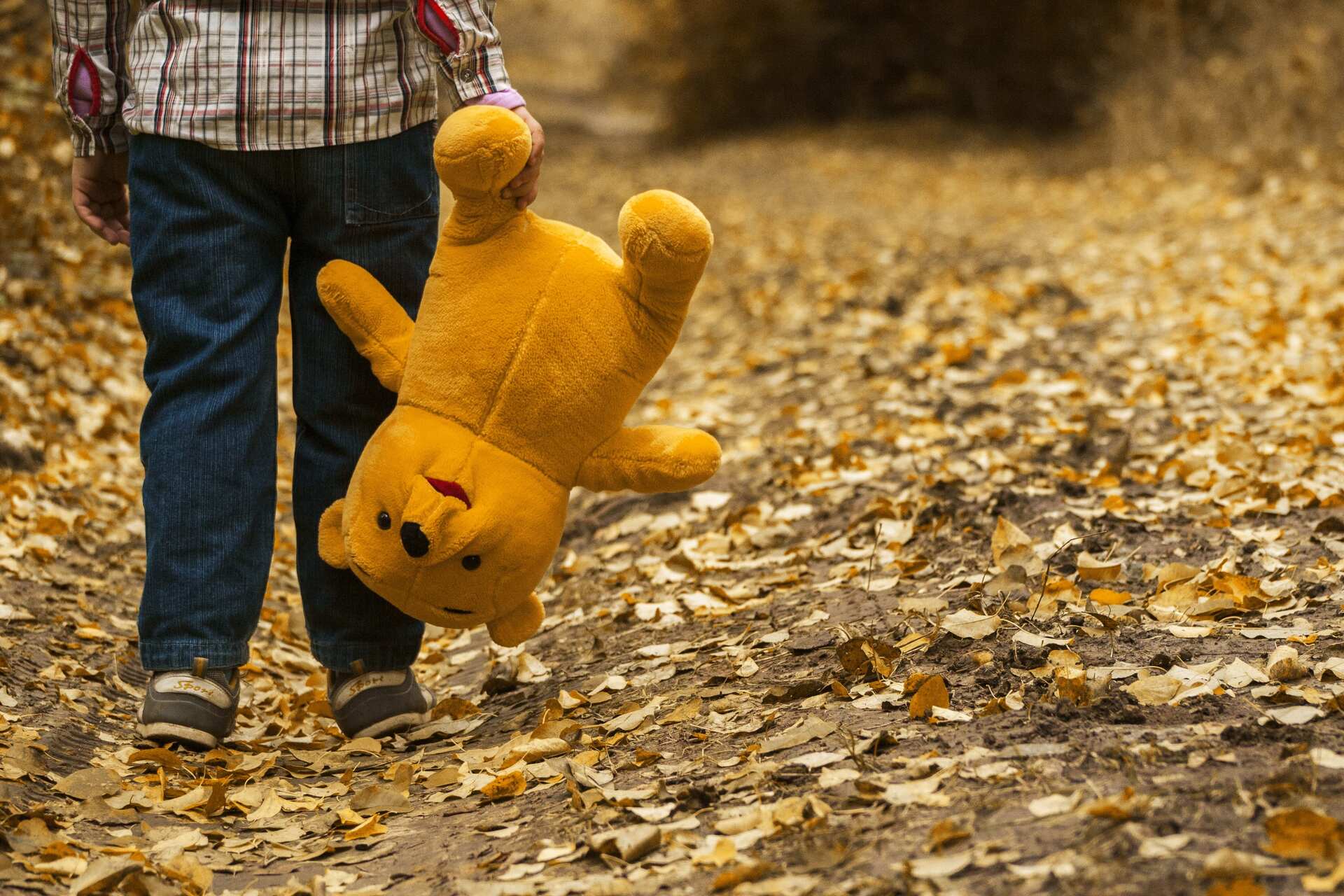 Boy carrying Winnie-the-Pooh toy