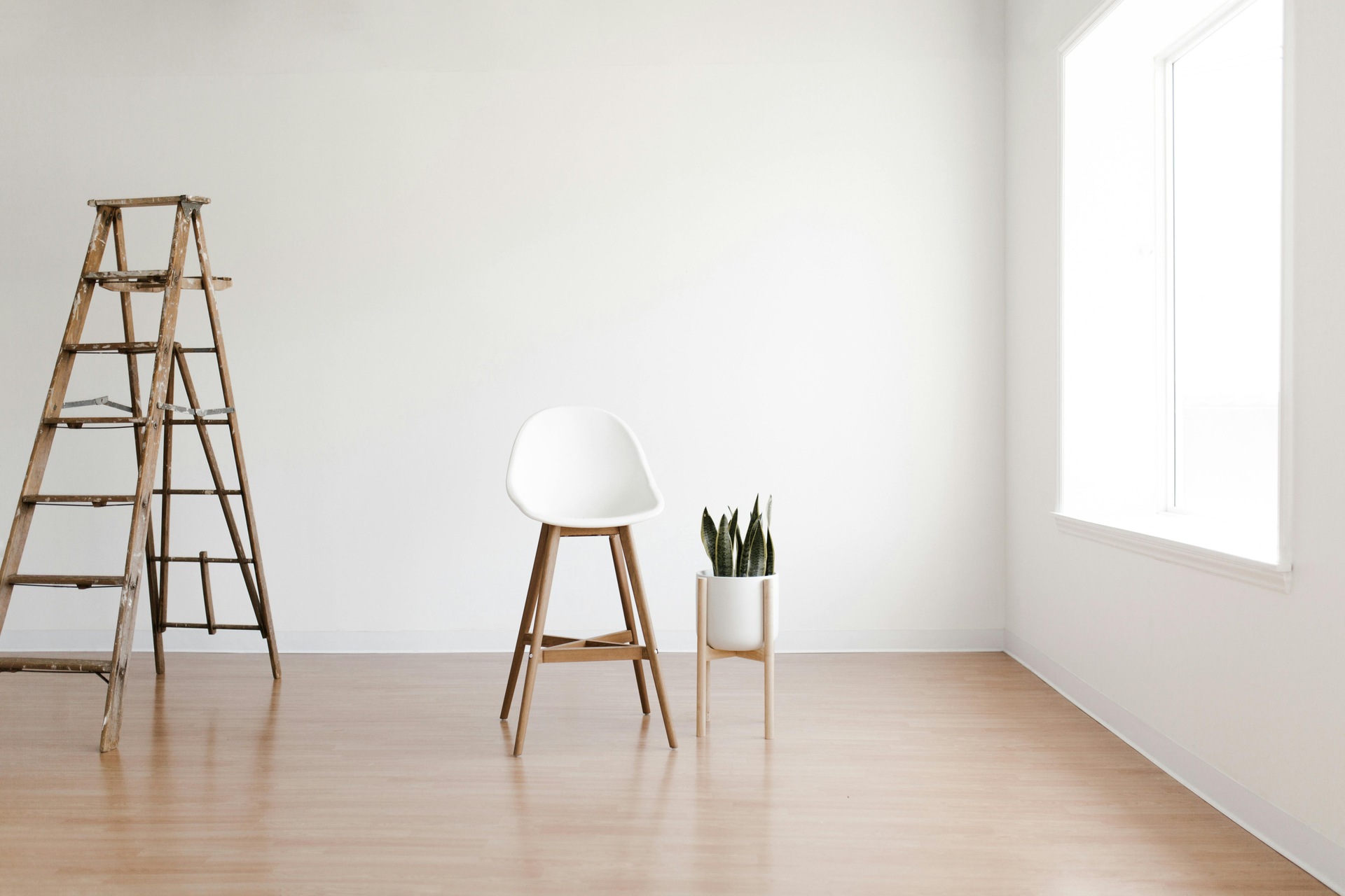 A white chair and a potted plant on a wooden floor