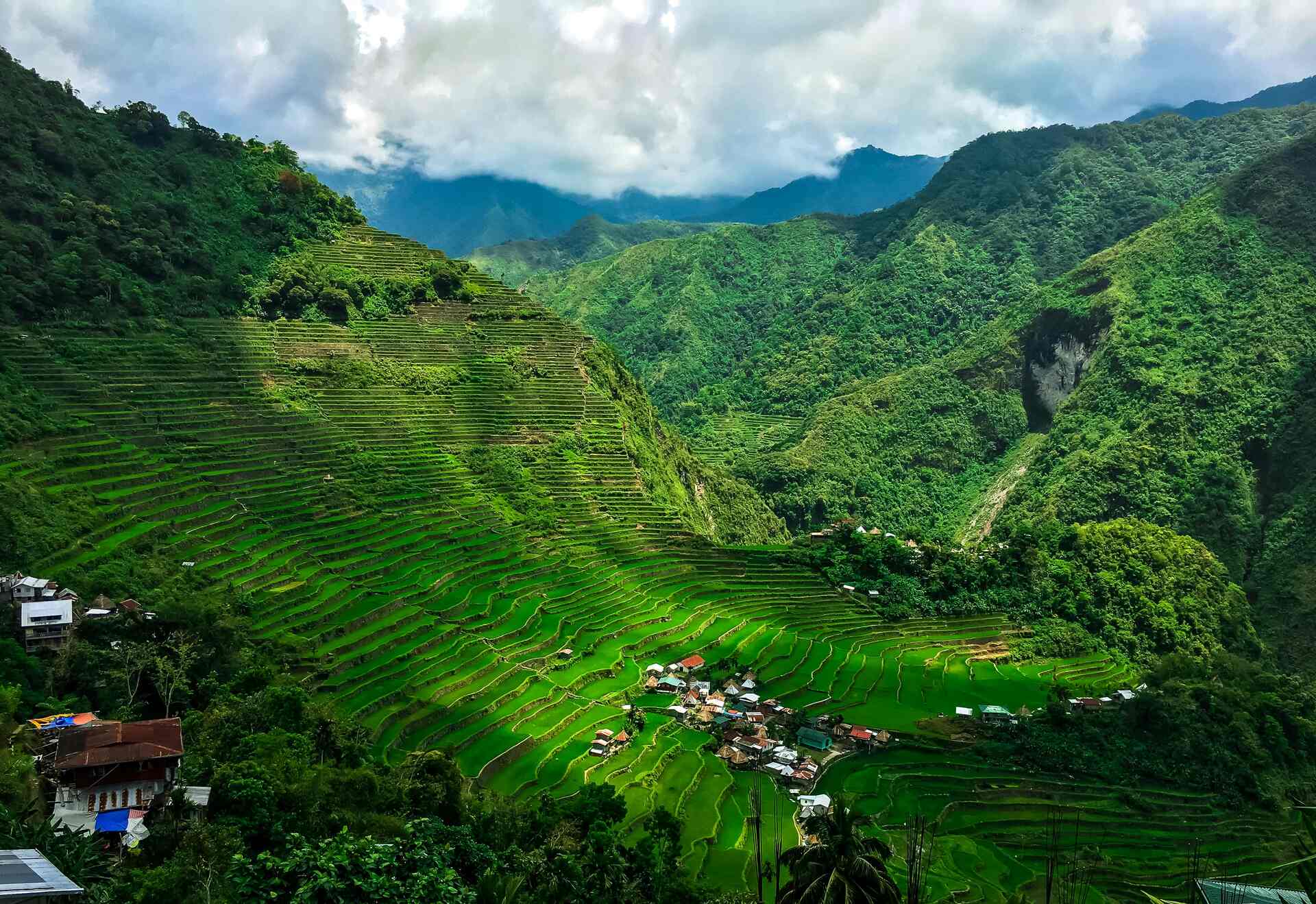 Aerial view of Rice Terraces, Philippines